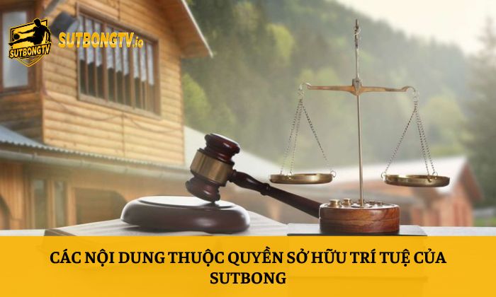 Bản quyền 2 Các nội dung thuộc quyền sở hữu trí tuệ của Sutbong