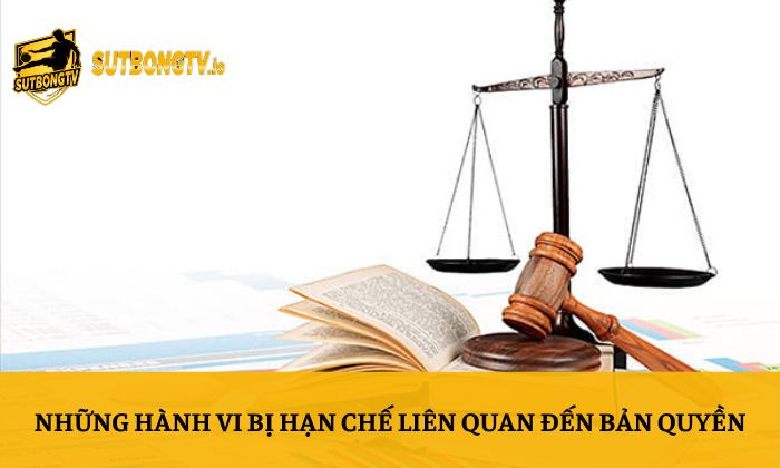 Bản quyền 3 Những hành vi bị hạn chế liên quan đến bản quyền