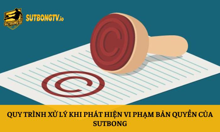 Bản quyền 4 Quy trình xử lý khi phát hiện vi phạm bản quyền của Sutbong