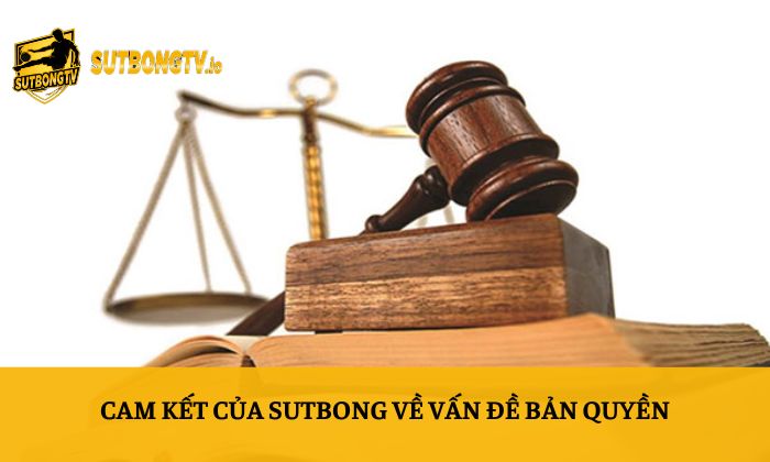 Bản quyền 5 Cam kết của Sutbong về vấn đề bản quyền