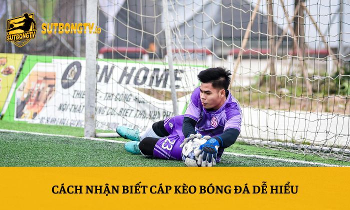 Cáp kèo là gì? Cách nhận biết và phân tích kèo bóng đá dễ dàng 4 Cách nhận biết cáp kèo bóng đá dễ hiểu