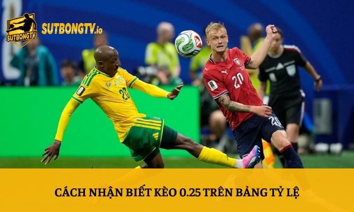 Kèo 0 0.5 là gì? Vì sao mức kèo chấp 0.25 được nhiều người quan tâm? 3 Cách nhận biết kèo 0.25 trên bảng tỷ lệ