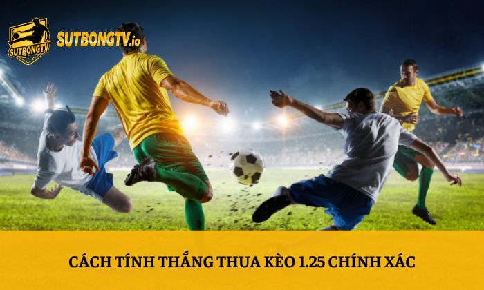 Kèo 1 3 4 là gì? Cách tính kèo chấp 1.25 dễ hiểu nhất 4 Cách tính thắng thua kèo 1.25 chính xác