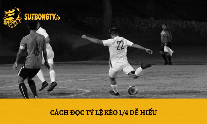 Kèo 1/4 là gì? Giải thích kèo chấp 0.25 từ A-Z 3 Cách đọc tỷ lệ kèo 1/4 dễ hiểu