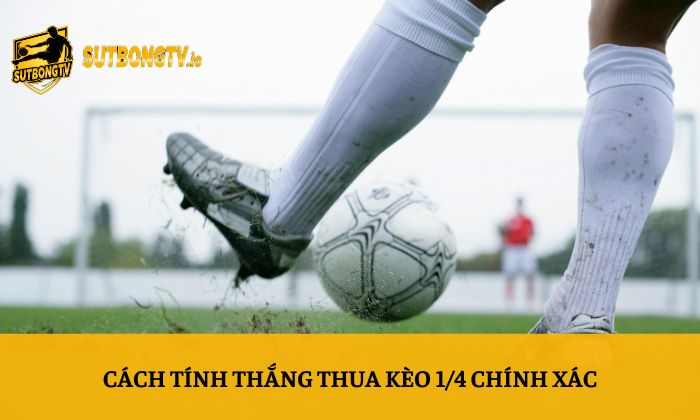 Kèo 1/4 là gì? Giải thích kèo chấp 0.25 từ A-Z 4 Cách tính thắng thua kèo 1/4 chính xác