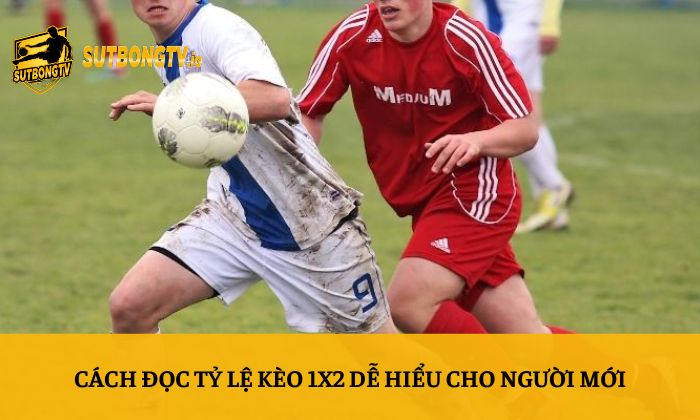 Kèo 1X2 là gì? Hướng dẫn đọc kèo bóng đá chi tiết 3 Cách đọc tỷ lệ kèo 1X2 dễ hiểu cho người mới