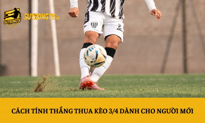 Kèo 3/4 là gì? Cách tính thắng thua dễ hiểu nhất 2 Cách tính thắng thua kèo 3/4 dành cho người mới