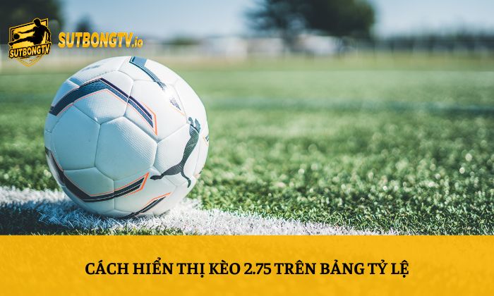 Kèo chấp 2.75 là gì? Cách tính thắng thua dễ hiểu nhất 3 Cách hiển thị kèo 2.75 trên bảng tỷ lệ