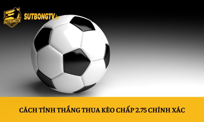 Kèo chấp 2.75 là gì? Cách tính thắng thua dễ hiểu nhất 4 Cách tính thắng thua kèo chấp 2.75 chính xác