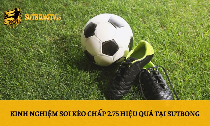 Kèo chấp 2.75 là gì? Cách tính thắng thua dễ hiểu nhất 5 Kinh nghiệm soi kèo chấp 2.75 hiệu quả tại Sutbong