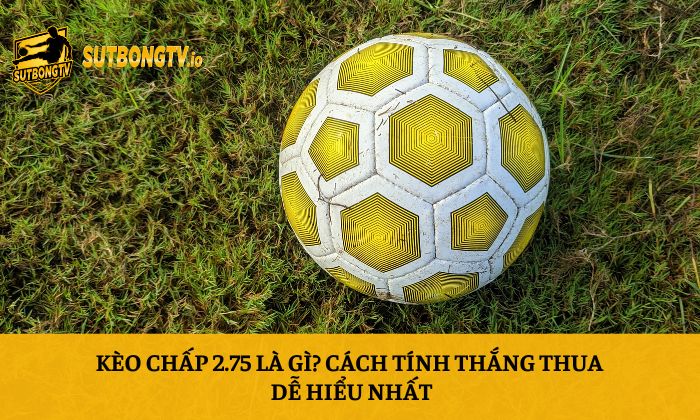 Kèo chấp 2.75 là gì? Cách tính thắng thua dễ hiểu nhất 5 Kèo chấp 2.75 là gì
