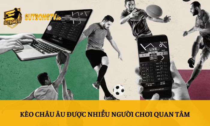 Kèo Châu Âu là gì? So sánh chi tiết kèo châu Âu với kèo Châu Á 3 Kèo Châu Âu được nhiều người chơi quan tâm