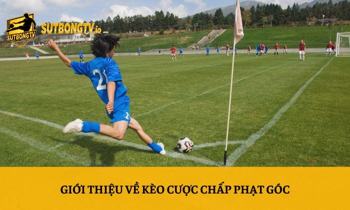 Kèo cược chấp phạt góc - Cách soi kèo chi tiết từ A-Z 2 Giới thiệu về kèo cược chấp phạt góc