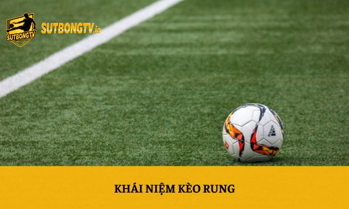 Kèo rung là gì? Những yếu tố quan trọng khi soi kèo rung 2 Khái niệm kèo rung