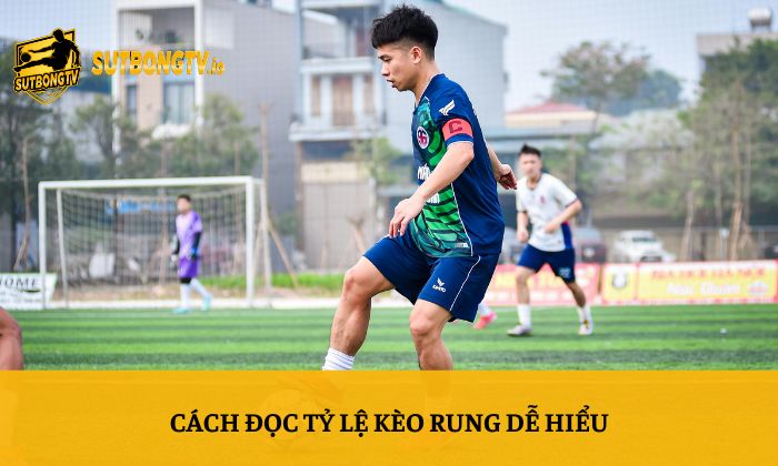 Kèo rung là gì? Những yếu tố quan trọng khi soi kèo rung 3 Cách đọc tỷ lệ kèo rung dễ hiểu