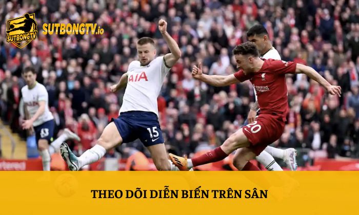 Kèo rung là gì? Những yếu tố quan trọng khi soi kèo rung 4 Theo dõi diễn biến trên sân