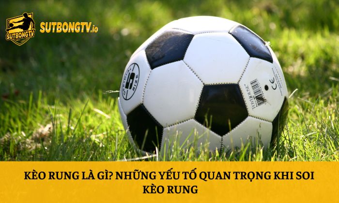 Kèo rung là gì? Những yếu tố quan trọng khi soi kèo rung 4 Kèo rung là gì