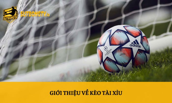 Kèo tài xỉu là gì? Cách đọc tỷ lệ Over/Under cho người mới 2 Giới thiệu về kèo tài xỉu