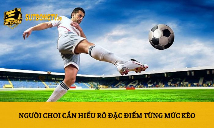Kèo tài xỉu là gì? Cách đọc tỷ lệ Over/Under cho người mới 5 Người chơi cần hiểu rõ đặc điểm từng mức kèo