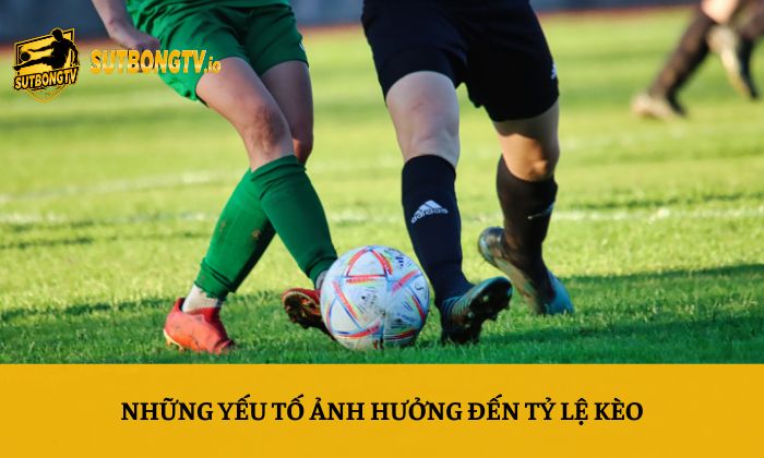 Tỷ lệ kèo 61 Những yếu tố ảnh hưởng đến tỷ lệ kèo